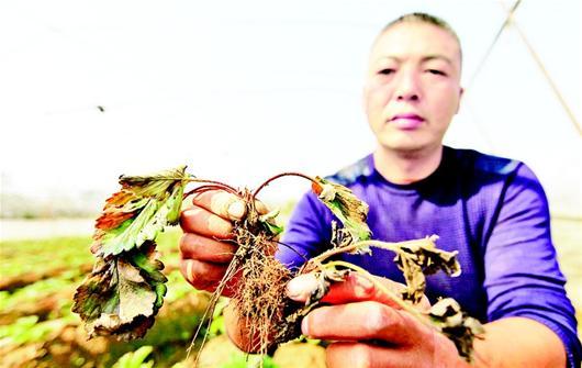 ���r(n��ng)14�f���ݮ���x���ή ���ǻ����ǵ�.jpg