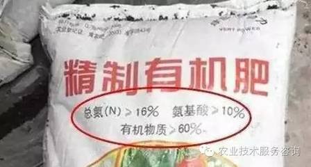 �@3�N���ЙC(j��)�ʡ��Ǽٵģ�ǧ�f�e�I��