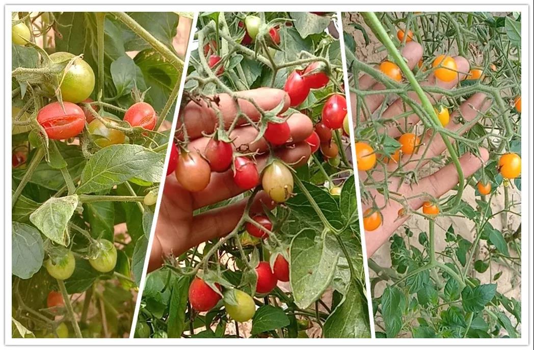 �ӱ���Ȫ�ʘI���Ҵ���p�a�����վ����᣿