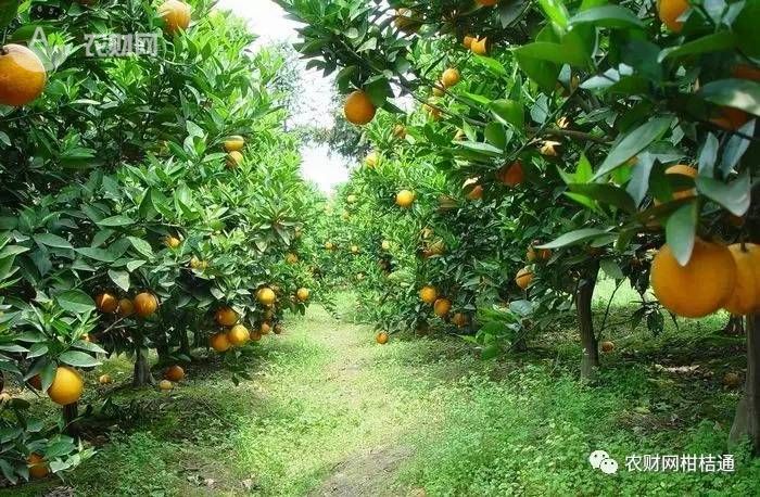 ���rע�⣡�r�Y���ƈF�@�F�و@��������̫���������A�t�g�������e�^��һ�ꡱ�����@Щ��·��Ҫ���ģ�