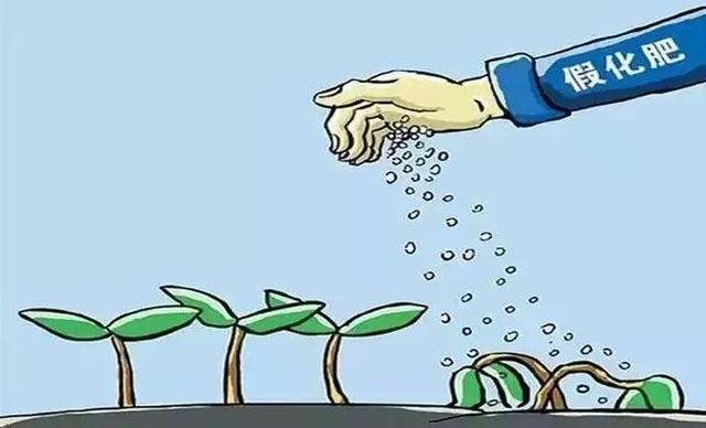 ����ʡ��z���ʮaƷ10�����Θ�Ʒ ���ϸ�1������