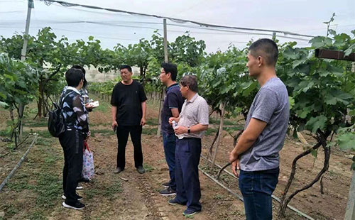 ע�⣡�����Йz��0.01%�r(n��ng)ˎ�ɷ֣��S�ұ��P��25�f(w��n)