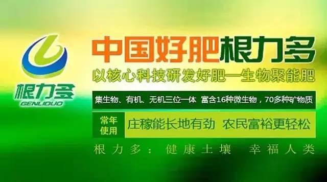 根力多 生物型土壤修復(fù)劑3.jpg