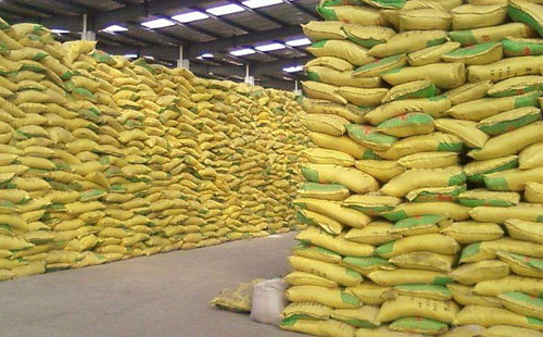 2017��11��24�գ����������@�r���Ј������Ո�