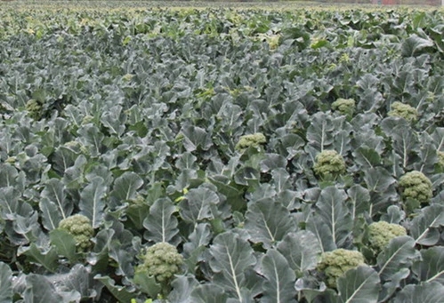 ���m����ι�����ˮ�����m���Ĺ���������