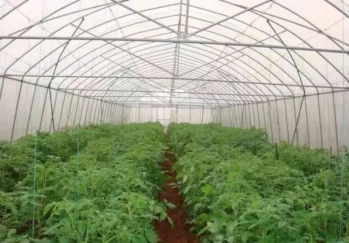 ���﷬�Ѳ�ͬ�r�����ʩ��������Щʩ�ʼ�����