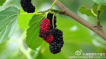 ɣ���ļ�ʩ��Ҫ�c(di��n)