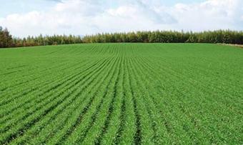 ��ô���С�����׷�ʹ��Ч����С�����׷�ʹ�÷���