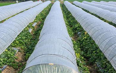 �����÷ʵ���Ҫ�N�ע�����