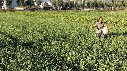 ���⌣�÷���ô�������⌣�÷ʵ��x�ú�����