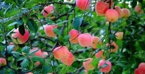 �O���ЙC��������ʼ��g����