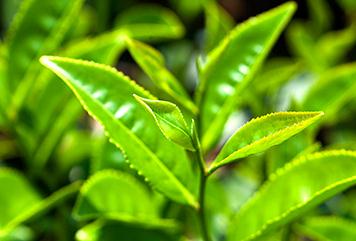 �o�������~��ôʩ�ʣ�