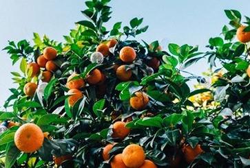 ���Y��ˎ�����Ƹ��ٷʺ���