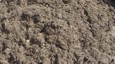 �\Մ�u�S�������߲˺͹��@��ɵ�8�������