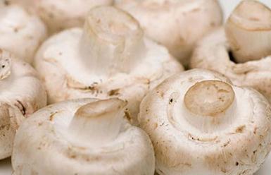 Ģ���o�S����ô�N��Ģ���o�S�����༼��