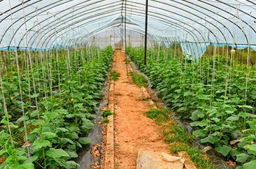 �~�����ôʩ�òŕ��ã��~���ʩ�ü���