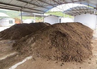 �ЙC�ʵ��@Щ���������ܶ��˶���֪����