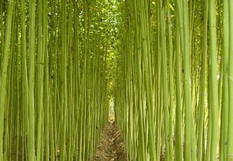 ���������ôʩ�ʣ���������ʩ�ʼ��g