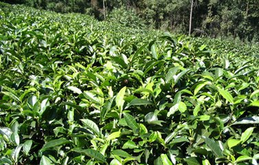 ʷ����ȫ����(j��ng)�������ЙC��ʹ�ü��g(sh��)��