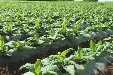 �����߲˛_ʩ��ע�����(xi��ng)