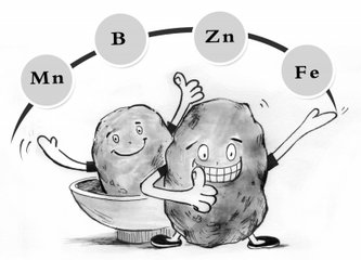 ���ʩ��΢��Ԫ�ط��ϲŕ���������