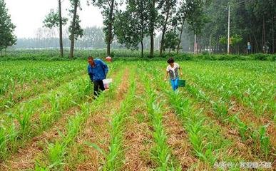 �@����ʩ�ʶ�a���ϲ�ȥ������ԭ��