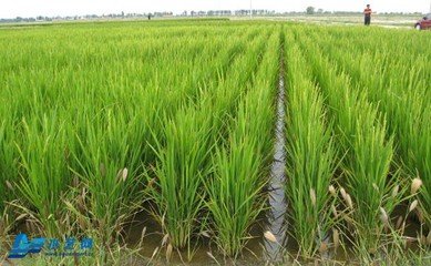 �絾����ʩ�ʼ��g(sh��)