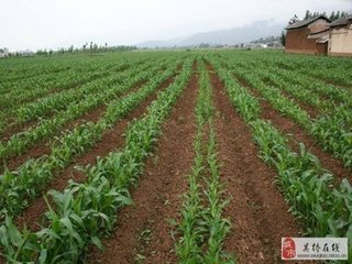 ������ôƽ��ʩ����