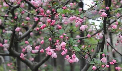 ���仨�ڇ���ע�����(xi��ng)