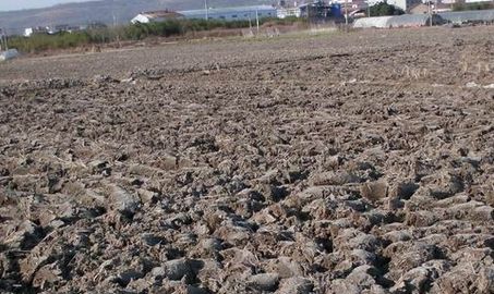 ������������ؽ�����Ⱦ�����ҽ��h��ʩ�A�Է���