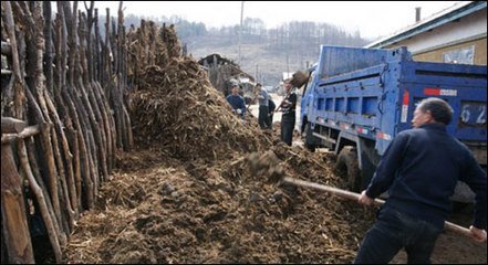 �����ѷ�ע�����(xi��ng)