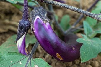  ����ʩ������Щԭ�t�����ӵ�ʩ�ʵ�ԭ�t