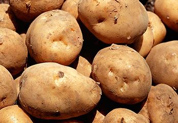 �R�����ôʩ�ʲ��ܸ߮a(ch��n)���R���ʩ�ʼ��g(sh��)