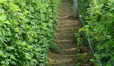 �в�ˎ���ʩ�ʣ��в�ˎ��ʩ�ʼ��g(sh��)