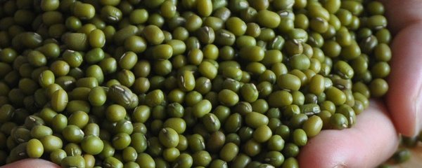 �G��ʩʲô�ʣ�