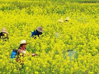 �Ͳ�ʩ����ʵķ���