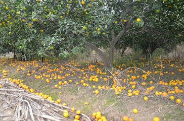 �܃����ĸ��٘�Ҫ����~��׷��