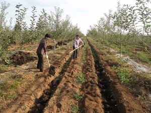 �ƌWʩ�ʷ�ֹ�ʺ��l��