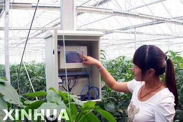 ˮ��һ�w����Ī�������p�ܡ�