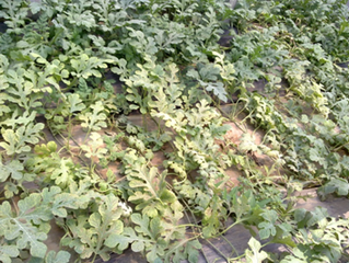 ���ʩ�ʷ��������ز粡����