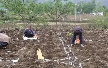 �ٺõķ��ϣ�Ҳ���@Щ���F(xi��n)��֪��߀������