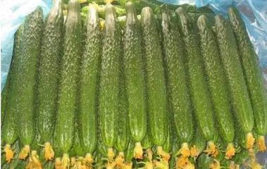 �S�χ�ʩ�~���ע�����