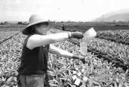 �����a���\��ע�����