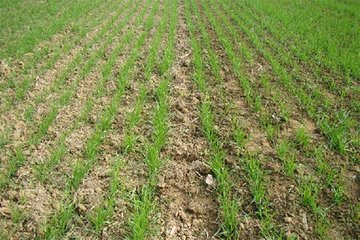 С��?zh��n)���΢�ʵļ��? /></a></td>
                <td><b><a href=