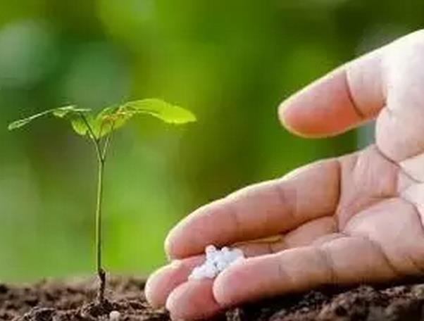 �������ˆ��}���������ٶ�Ҳ�e�����a(ch��n)��