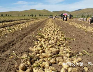 ��������ʩ�ʣ�