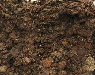 ȫ����������ЙC�ʣ��P���ЙC�ʣ��@Щ��Ϣ�㶼֪����