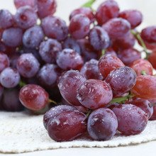 �t������ʩ�ʼ��g