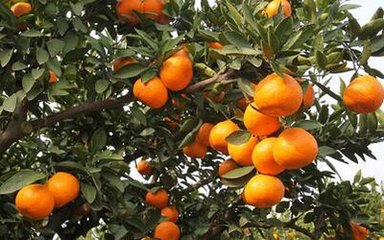 ���ٶ���ʩ�ʼ��g(sh��)