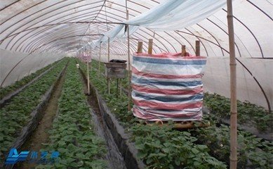 �����߲˶���ʩ��ʮ���� ���ˌ�⛷ʺ��}��ͬ�r��ʩ��